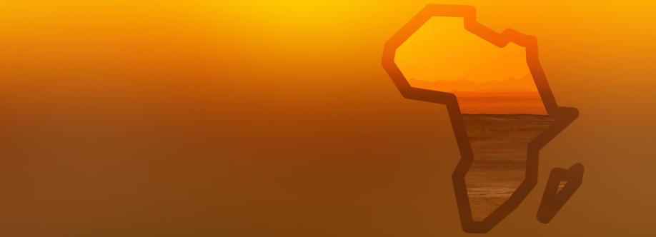 African Social Development Net Cover Image